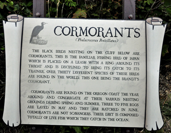 sign about cormorants